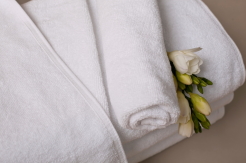  50x100 DELUXE PREMIUM 550g hotel hand towel